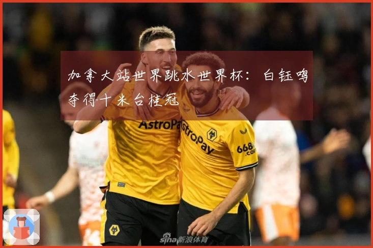 加拿大站世界跳水世界杯：白钰鸣夺得十米台桂冠